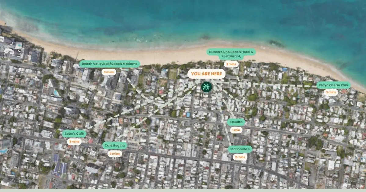 Amazing Beach Getaway For Large Groups Otium San Juan Daire
